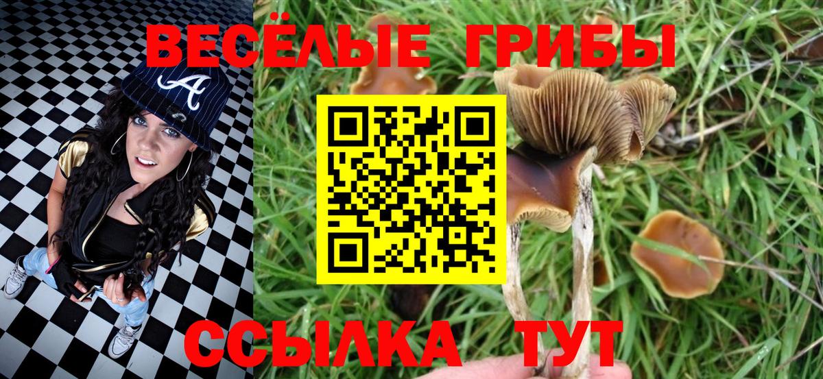 МЕФ кристаллы  КОКАИН  ЭКСТАЗИ  NBOMe  МЕФ  Гашиш  Алушта  МАРИХУАНА  Вход с VPN 