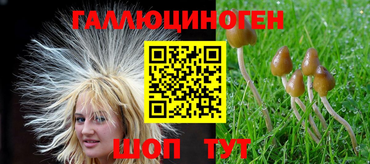 Галлюциногенные грибы мицелий  Вход с VPN  Алушта 
