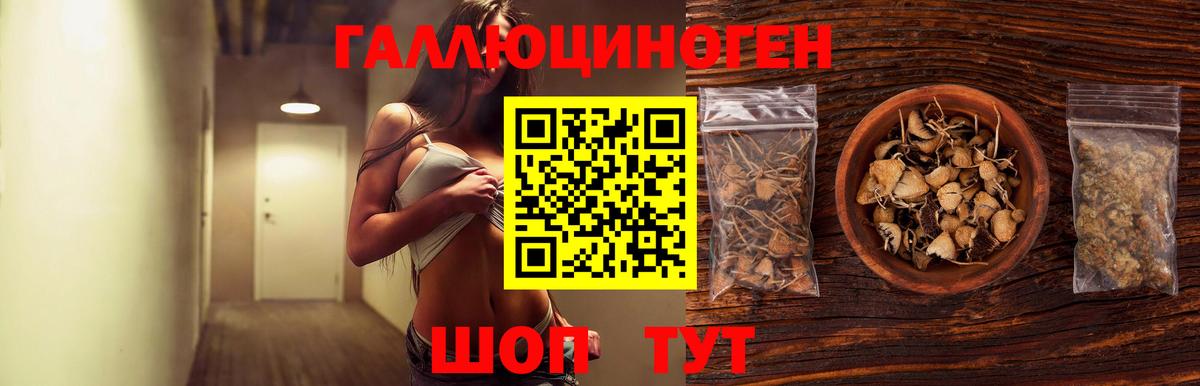 Псилоцибиновые грибы Psilocybe Алушта